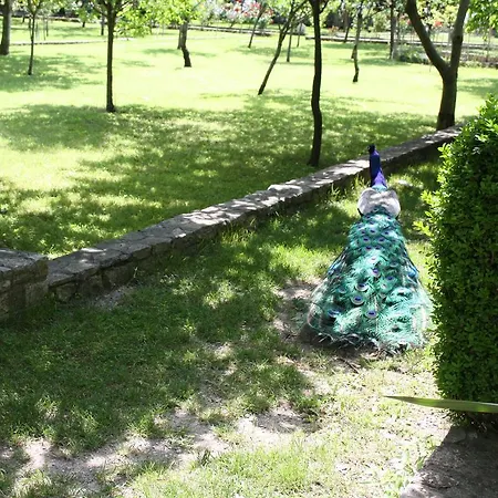 Rural House Gluic Bogatić