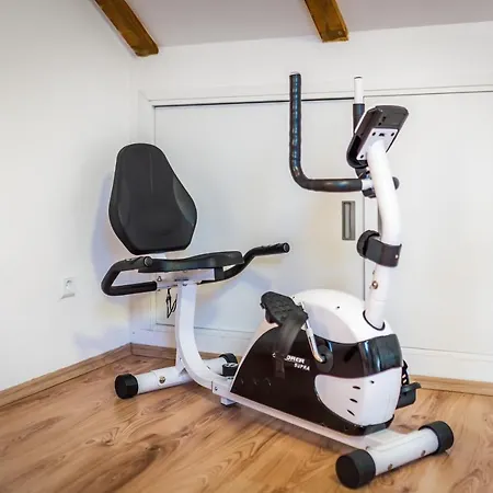 Rural House Gluic Villa *