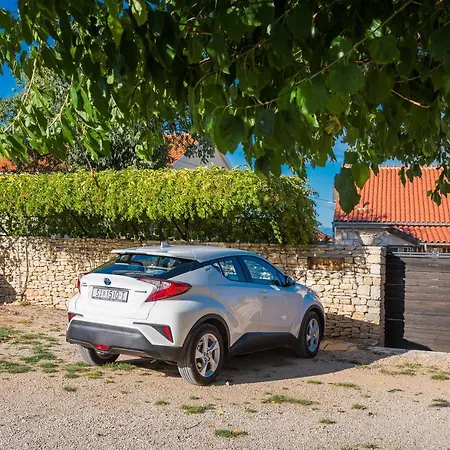 Rural House Gluic * Bogatić